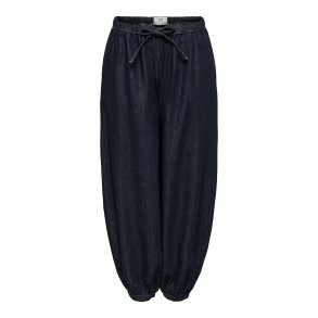JDYSANSA GENIE PANT