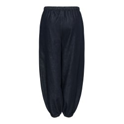 JDYSANSA GENIE PANT