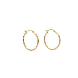 PICO BASIC LARGE HOOPS