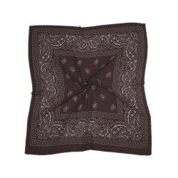 QNUZ PAISLEY SCARFT