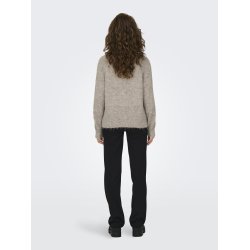 JDYZOEY LIFE RAGLAN PUL 