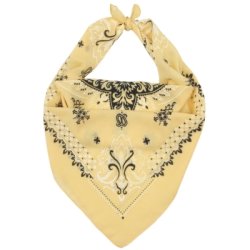 QNUZ PAISLEY SCARF
